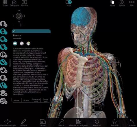Atlas Anatomía Fisiología Humana Software 3d Español Decargable