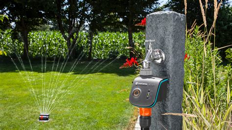 Backyard Sprinkler System Cost