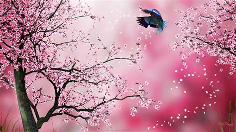 Drawn Cherry Blossom Desktop Wallpapers Top Free Drawn