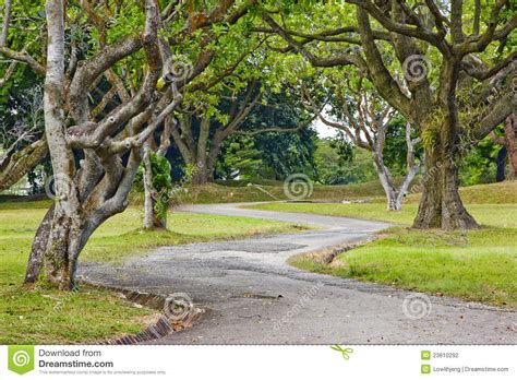 Tree Lined Path Stock Photo Image Of Outdoor Peace 23610292