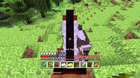 Minecraft Horse Youtube