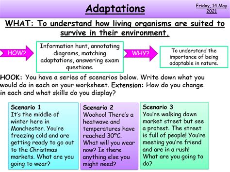 Adaptations Ks3ks4 Aqa Biology Teaching Resources