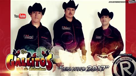 El Cajoncito En Vivo Choix 2017 Los Gallitos De Chihuahua Youtube