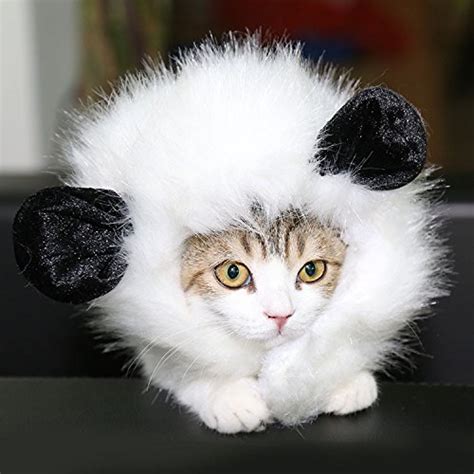 12 Costumes For Cats You Will Love Smrod Cats