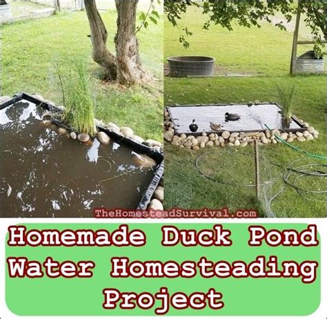 Diy duck pond filter and shower. Homemade Duck Pond Water Homesteading Project | The ...