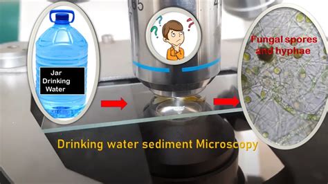 Dirty Drinking Water Under The Microscope At 1200x Youtube