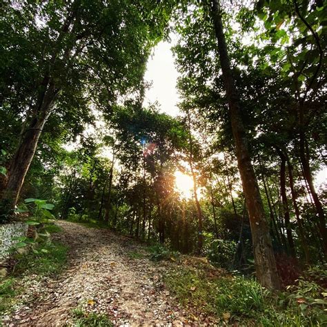 Fiabci world prix d'excellence awards 2015. Nature Park At Klang Valley Which You Can Enjoy Fresh Air ...