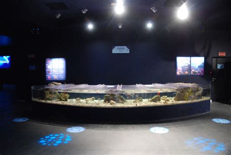 Invertebrate Touch Pools At Atlantis Aquarium Madrid 20th May 2022