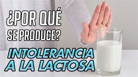 Intolerancia A La Lactosa Por Qu Se Produce Sefifood Youtube