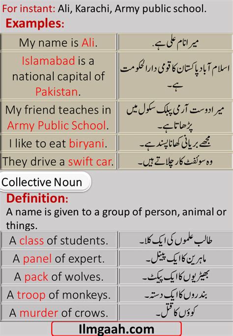 What Is Noun Types Of Noun With Urdu To English Examples Ilmgaah