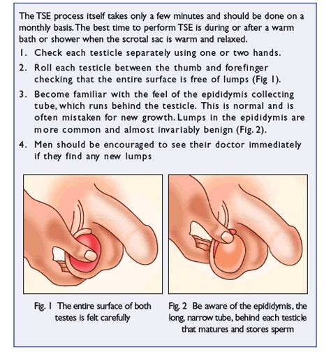 Where do cancers like to be touched? Sexual Problems, Diseases Treatment & Counseling Clinic ...