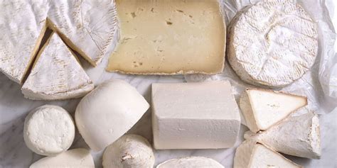 Nisin Cheese Can Target Cancer Cells Tech Explorist