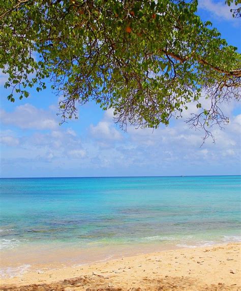 Another Beautiful Day At Batts Rock Beach On The West Coast Of Barbados