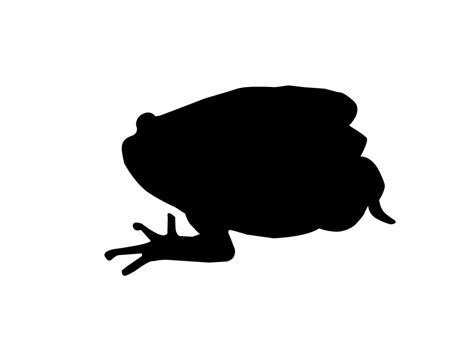 Free Frog Silhouette Download Free Frog Silhouette Png Images Free