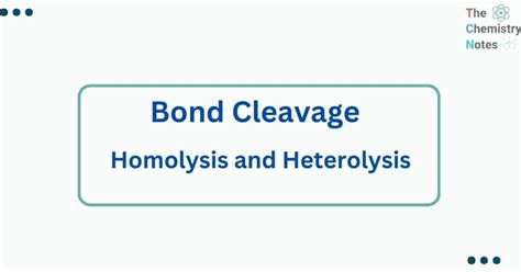 Bond Cleavage Homolysis And Heterolysis