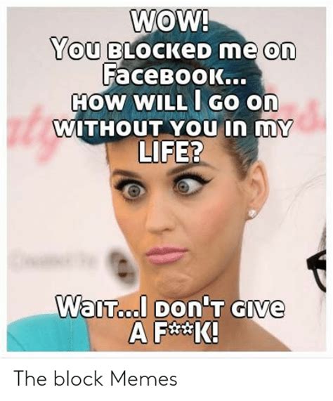 wow you blocked me on facebook how will go on without you in my life the block memes