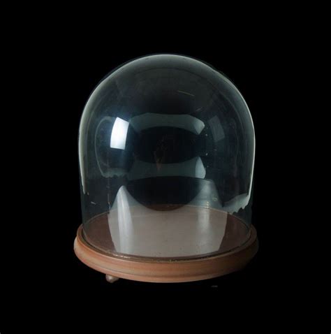 Victorian Glass Dome On Brown Stained Base British Victorian Glass