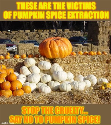 Pumpkin Spice Comes From Pumpkins Imgflip