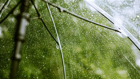 Download Wallpaper 2560x1440 Umbrella Rain Drops Transparent