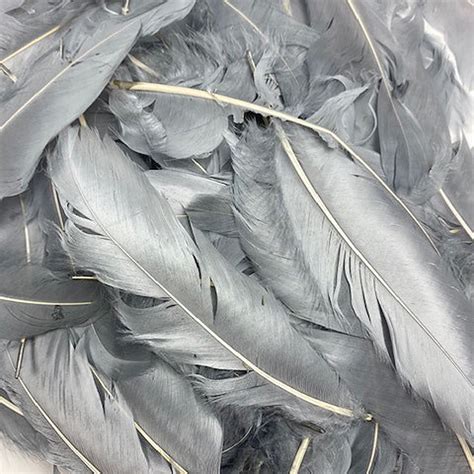 Goose Satinette Feathers 4 6 Silver Grey Loose Goose Etsy