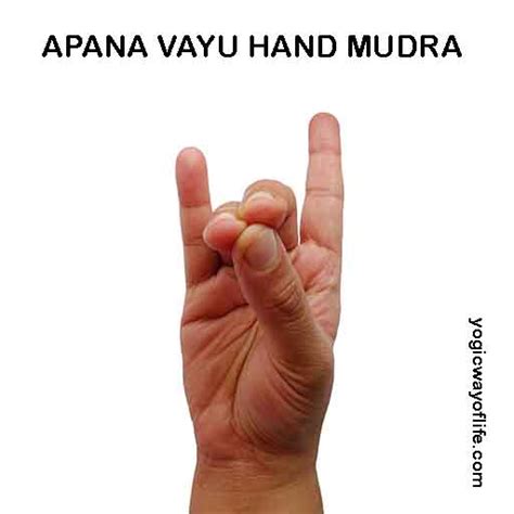 Apana Vayu Mudra Hand Gesture For Apana Flow