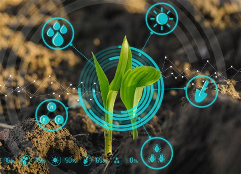 Why The Agricultural Tech Revolution Needs Responsible Innovation