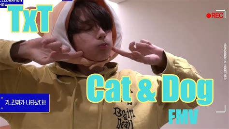 Txt Cat And Dog Fmv Youtube