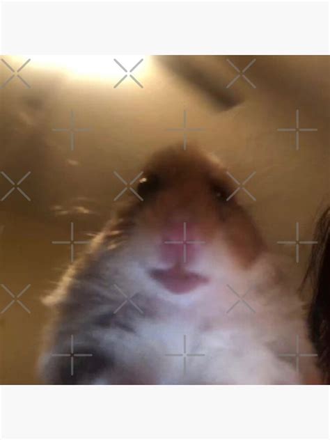 Facetime Hamster Meme Sticker By James Heath Redbubble