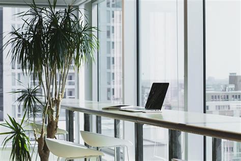 Eco Friendly Offices 5 Ways Corporate Spaces Are Becoming More
