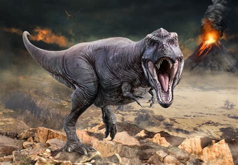 Violent Volcanic Eruptions Likely Caused Dinosaur Extinction