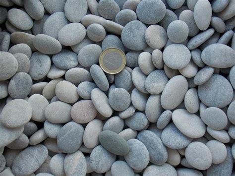 Bulk 200 Smooth Flat Beach Rocks For Pebble Art And Crafts Etsy