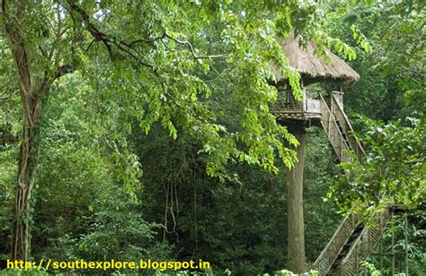 Parambikulam Wildlife Sanctuary Palakkad Kerala ~ South India Tourism