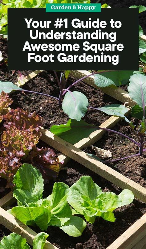 Square Foot Gardening How To Start A Garden In A 1 X 1 Grid Garden