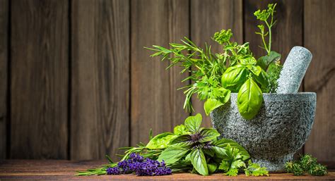 Botanical Herbs - Nutralfa Ltd.