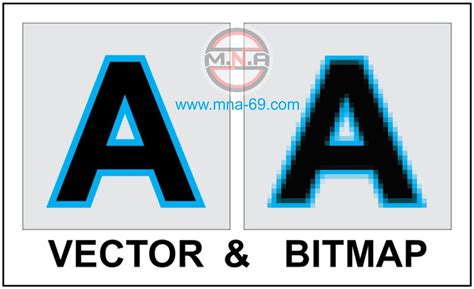 The Fundamental Difference Between Vector And Bitmap Mna