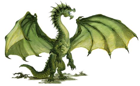 Ancient Green Dragon Draconic