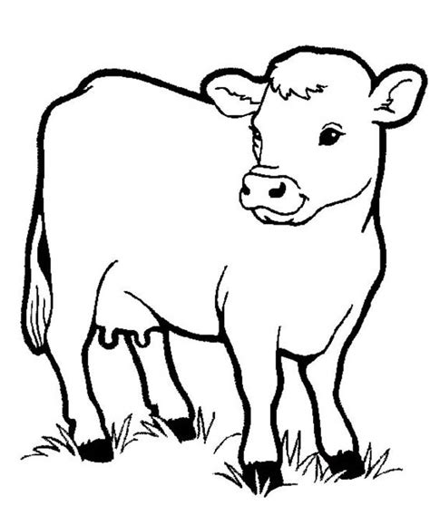 Download Healthy Milch Cow In Farm Animal Coloring Page : Kids Play Color