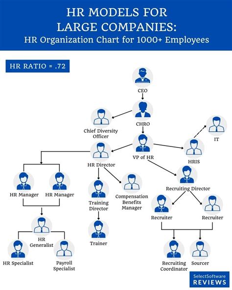 Hr Organization Structure And Chart Examples Types Human Resources