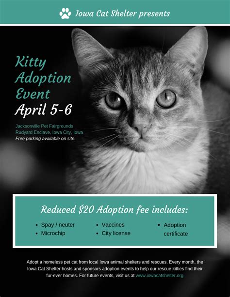 At the shelter, ask an adoption counselor for assistance when you wish to spend more time with individual cats. Nonprofit Cat Adoption Event Poster Template