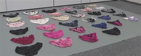 Tokyo Cop Dismissed After Arrest For Theft Of Womens Underwear