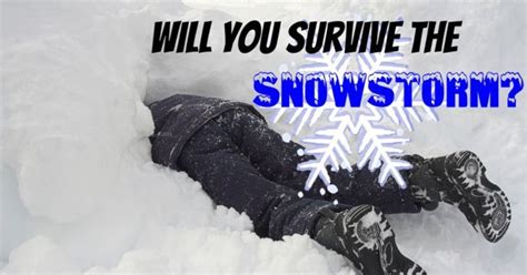 Will You Survive The Snow Storm Snow Storm Survival Storm
