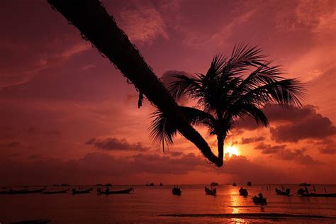 Sunset At Koh Tao Thailand Stock Photos Pictures And Royalty Free