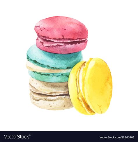 Watercolor Macaroons Stack Royalty Free Vector Image