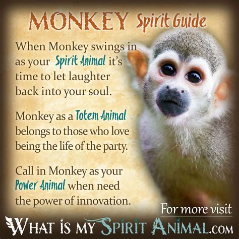 Monkey Symbolism And Meaning Spirit Totem And Power Animal 2022
