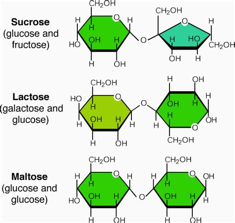 Carbohydrates Classification Chemical Nature Biological Role