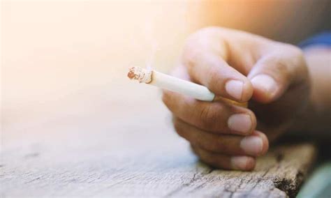How To Remove Cigarette Smoke Odor From House Siambookcenter