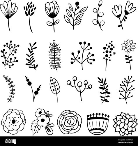 Vector Collection Of Hand Drawn Flowershand Drawn Monochrome Flowers