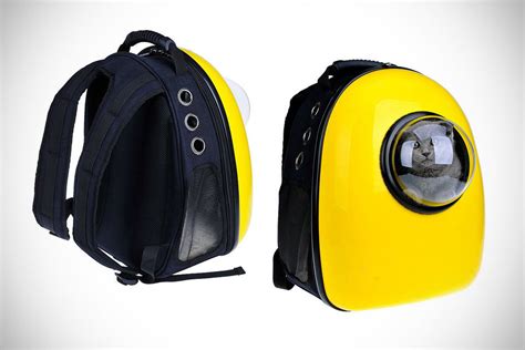 Blitzwolf pet space capsule backpack These Cat Bags Have Bubble Window For Your Cat's Viewing ...