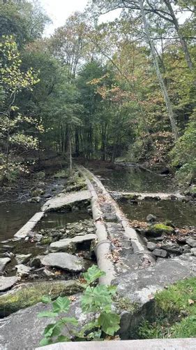 Best Hikes And Trails In Yellow Creek Park Alltrails
