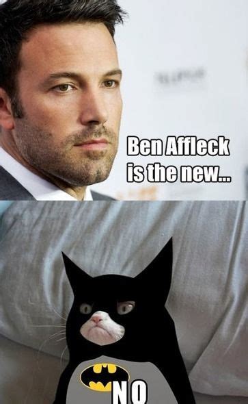 Ben Affleck Batman Memes Grumpy Cat Quotes Meme Grumpy Cat Funny Cat Memes Funny Quotes Cat